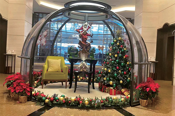 Пример Роскошный садовый купол Igloo